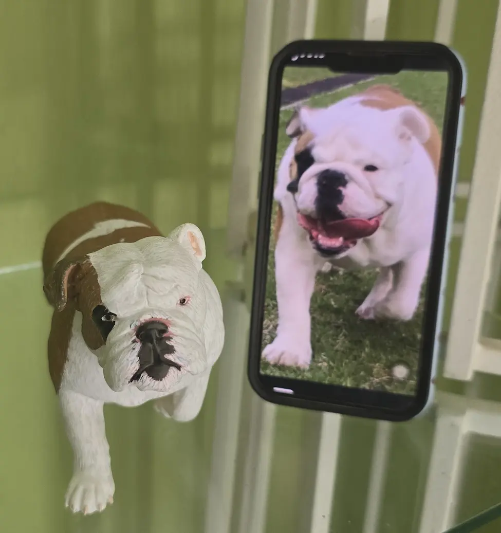 Funko Bulldog personalizado impreso en 3D