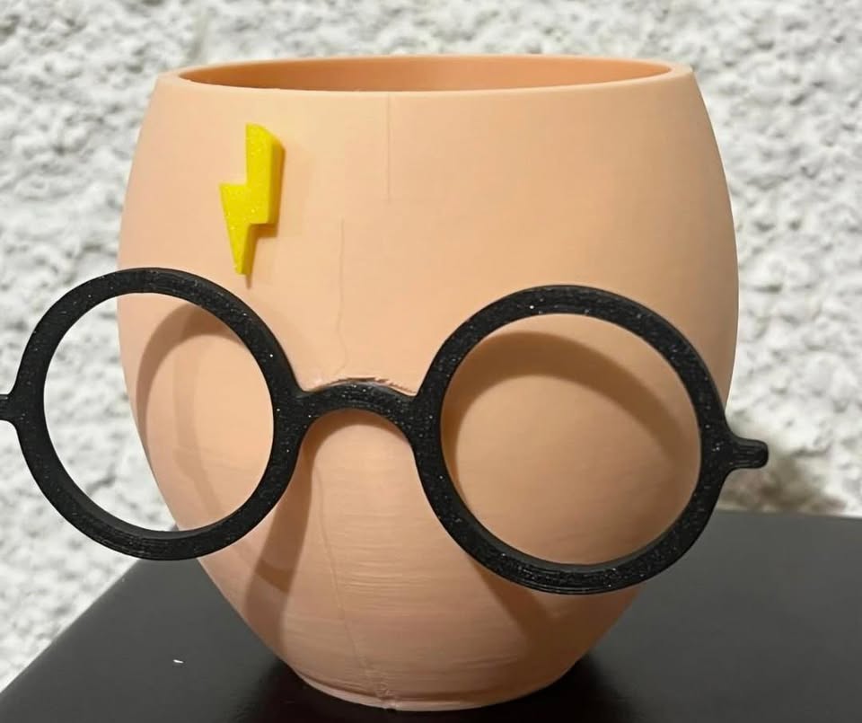 Harry Potter impreso en 3D